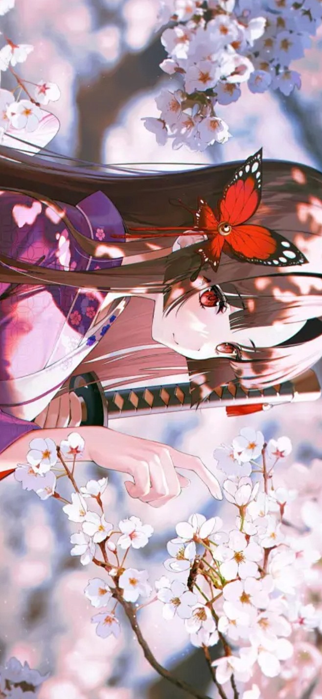 热播2